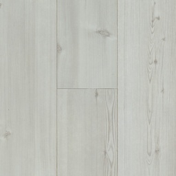 [12943-V] HPL Original (62001383 Rocca di Papa Pine)