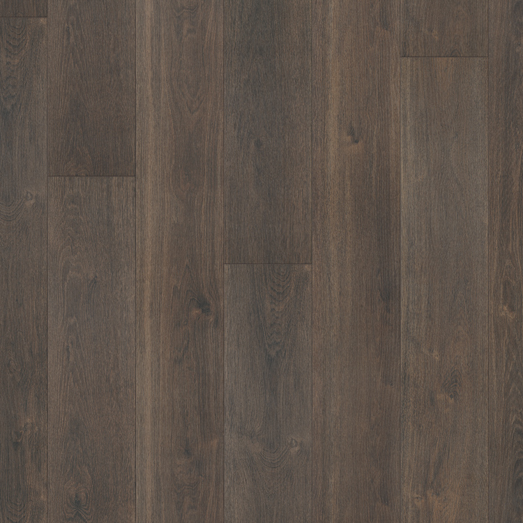 Parador Trendtime 6 4V