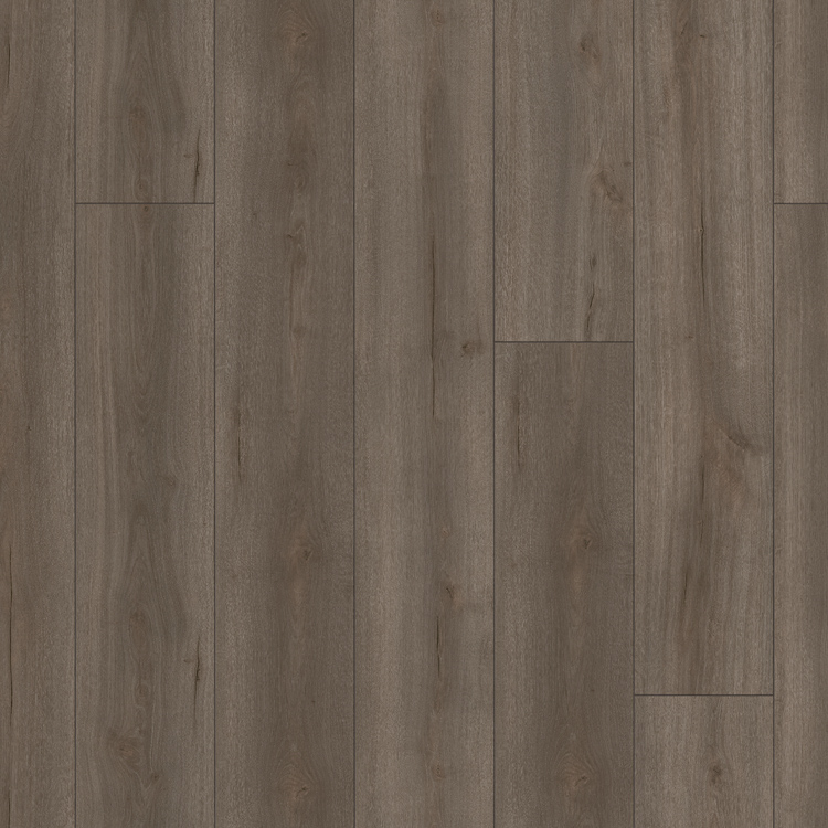 Parador Trendtime 6 4V