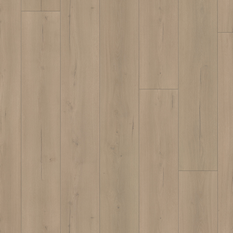 Parador Trendtime 6 4V