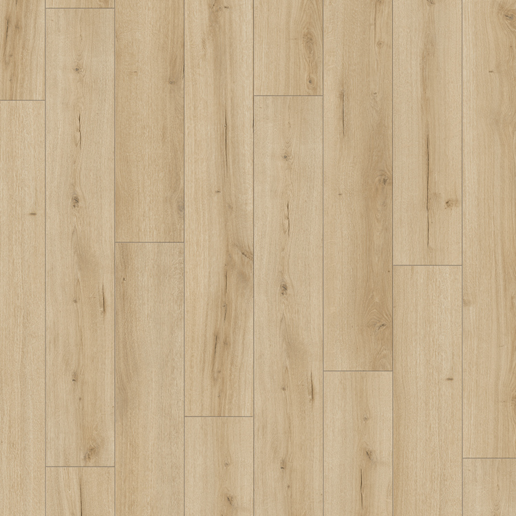 Parador Trendtime 6 4V