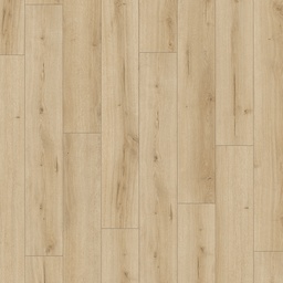 [1744709] TrendTime 6 4V (Eiken Loft Pure)