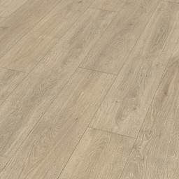 [06421] Meister LD 150 (6421 - Eik Caledonia)