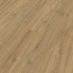 [06413] Meister LL 150 (Eik Nova)