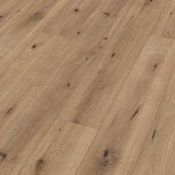 [06843] Meister LL 150 (Veldeik Licht)