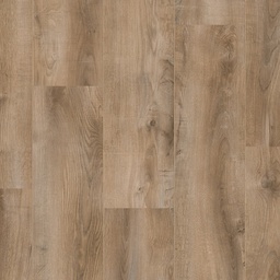 [1082043] Saffier Estrada (Folsom Oak)