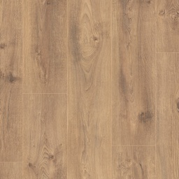 [1082044] Saffier Estrada (Chicago Oak)