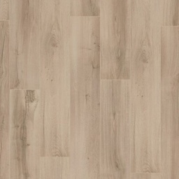 [3405-B] Hoomline Optima V4 (4926 Albany)