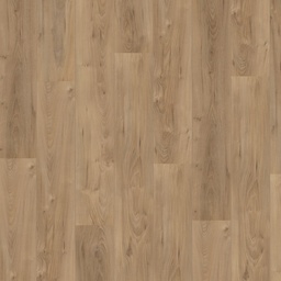 [3428-B] Hoomline Royal V2 (Lazio Eik)