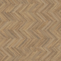 [18640-C] mFLOR Parva Oak (41215 Apulia)