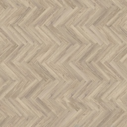 [18640-F] mFLOR Parva Oak (41219 Sardinia)