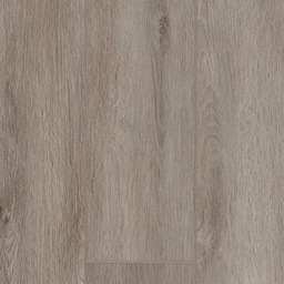[PP-LP-0007] Pro Plus Long Planks (1217 ABSOLUTE)