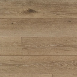 [16872-D] Authentic 1.2 plus (Regina 50 LVRE 139)