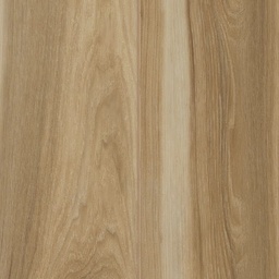 CoreTEC Essentials 1500+