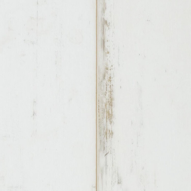 CoreTEC Essentials 1200+