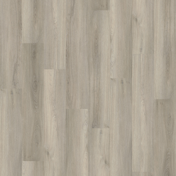 Avanto Dryback