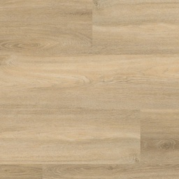 [13437-A] Avanto Click (Beige)