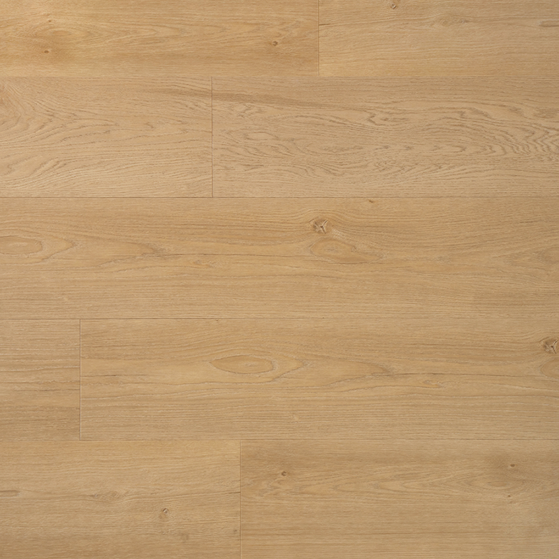 DD PVC Ambitieus Klik Riante Plank