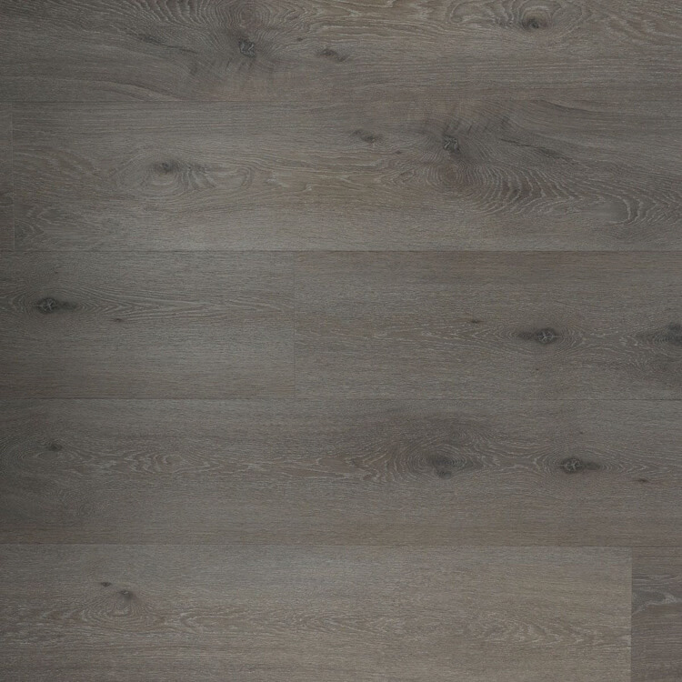 DD PVC Ambitieus Klik Riante Plank