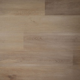 DD PVC Ambitieus Klik Riante Plank