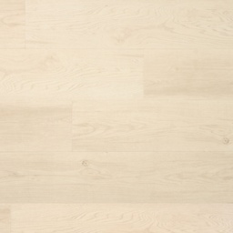 Douwes Dekker Ambitieus Klik Riante Plank