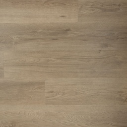 DD PVC Ambitieus Klik Riante Plank