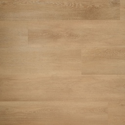DD PVC Ambitieus Klik Riante Plank