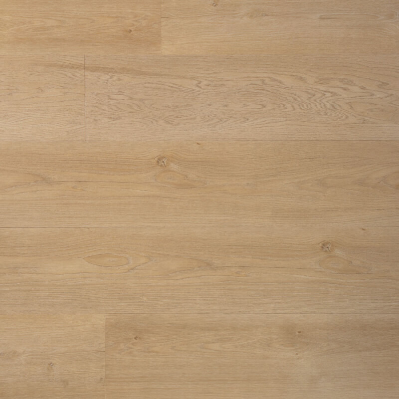 Ambitieus Dryback Riante Plank