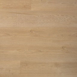Ambitieus Dryback Riante Plank