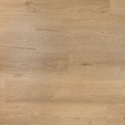 Douwes Dekker Ambitieus Riante Plank