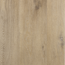 Douwes Dekker Ambitieus Riante Plank