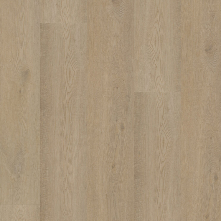 Bodiax BP500 Thor Hydro-core Click