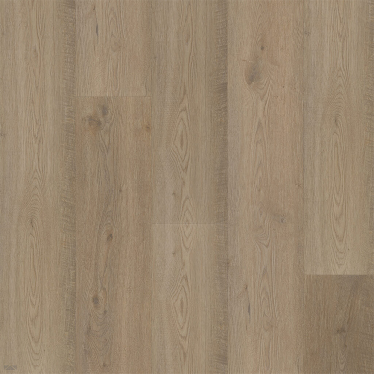 Bodiax BP500 Thor Hydro-core Click