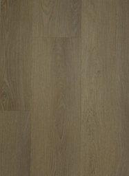 [15818-C] TFD Easy (Easy 4)