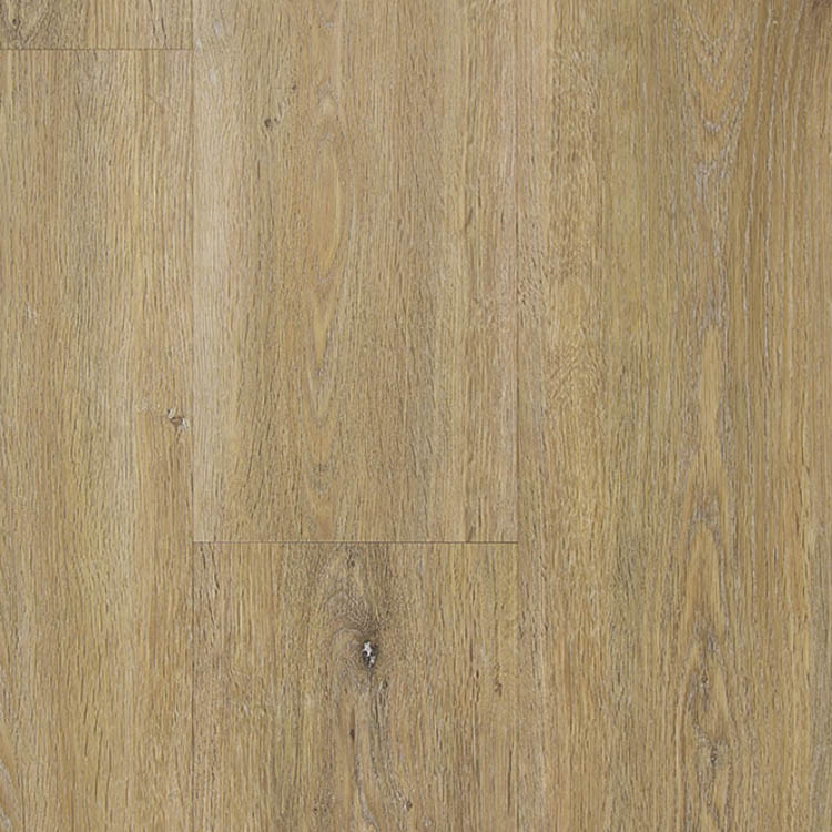 TFD Style Register 4V