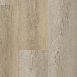 [16402-C] TFD Firm (Firm 6)