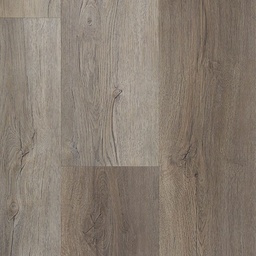 [16402-D] TFD Firm (Firm 8)