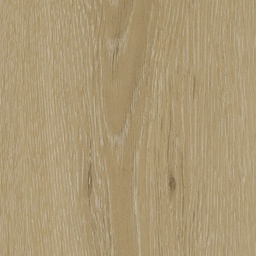 [16495-A] TFD Living (Living 1604)