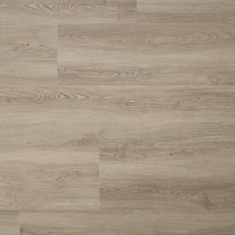 Sense Dryback-P