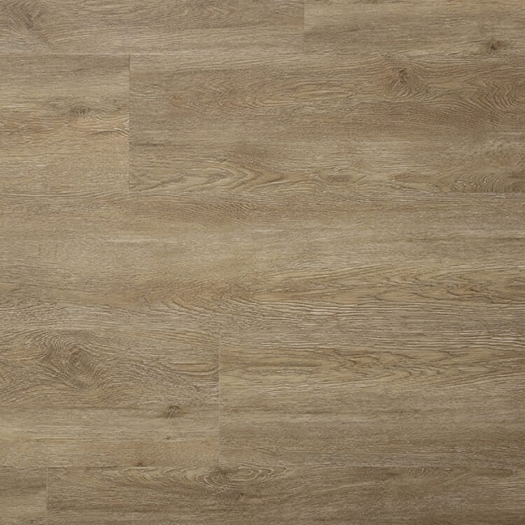 Sense Dryback-PP