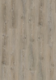[17095-B] Ambassador Dryback (Nevada 009)