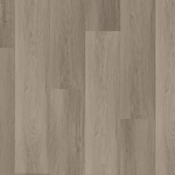 Briljant 55 Dryback