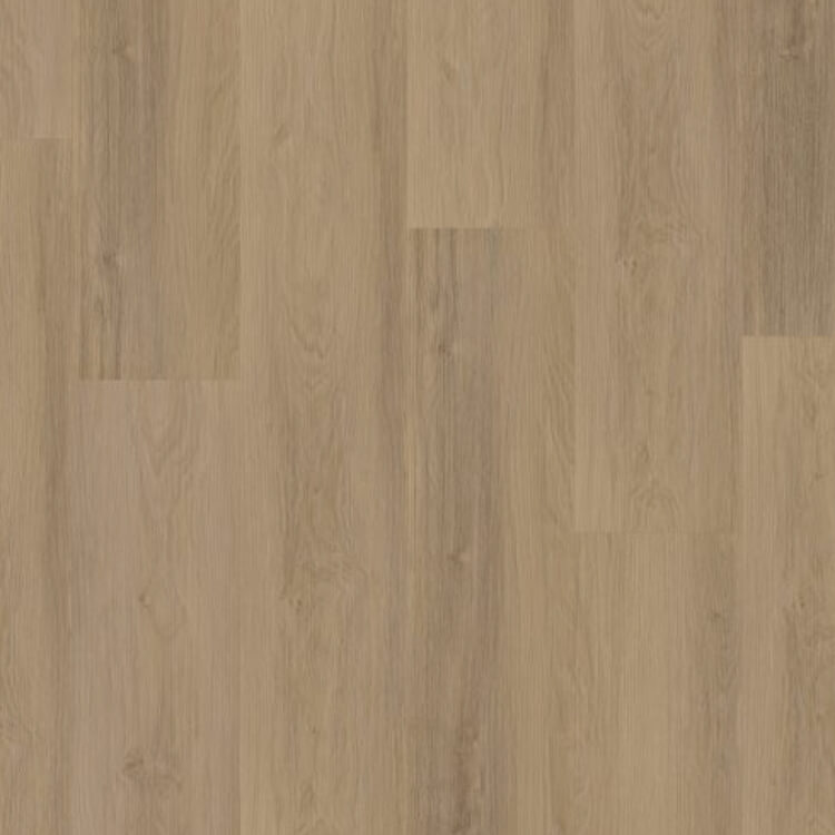 Briljant 55 Dryback