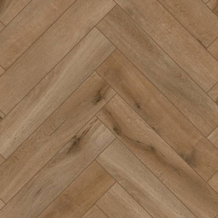 Gelasta Callisto Visgraat