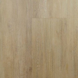 [14416-B] LS Rigid (5742)
