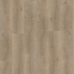 [13088-C] 6000 serie Dryback (6810)