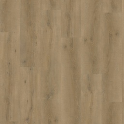 [13088-I] 6000 serie Dryback (6870)