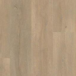 [BLKS-PLZ-0008] Palazzo Rigid Click (Palazzo 710)