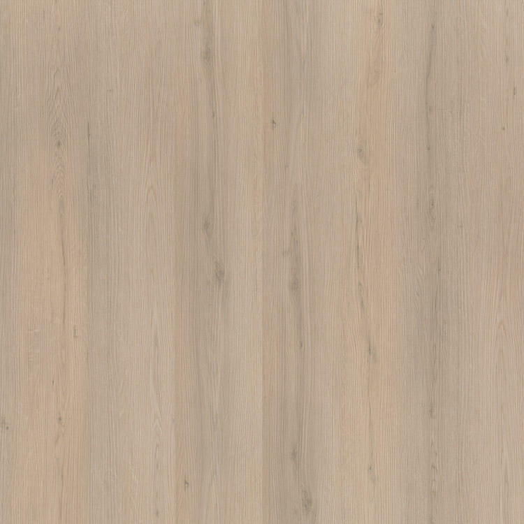 Venera Dryback