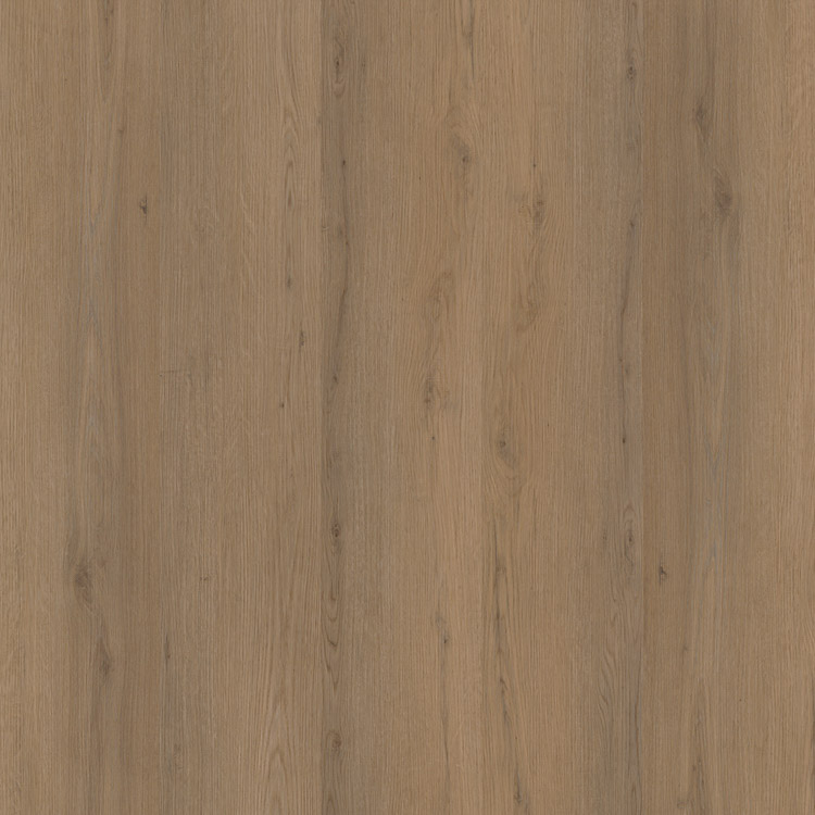 Venera Dryback